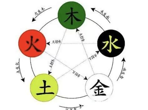 柏五行|柏字的五行属性